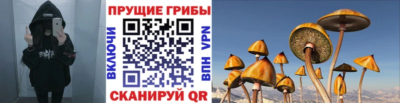 Псилоцибиновые грибы Magic Shrooms  Архангельск 